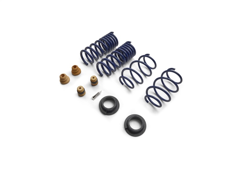 Ford Mustang Lowering Springs - Ford Racing - Street Lowering - `15-`24 Ford Mustang Lowering Springs - Ford Racing - Street Lowering - `15-`24